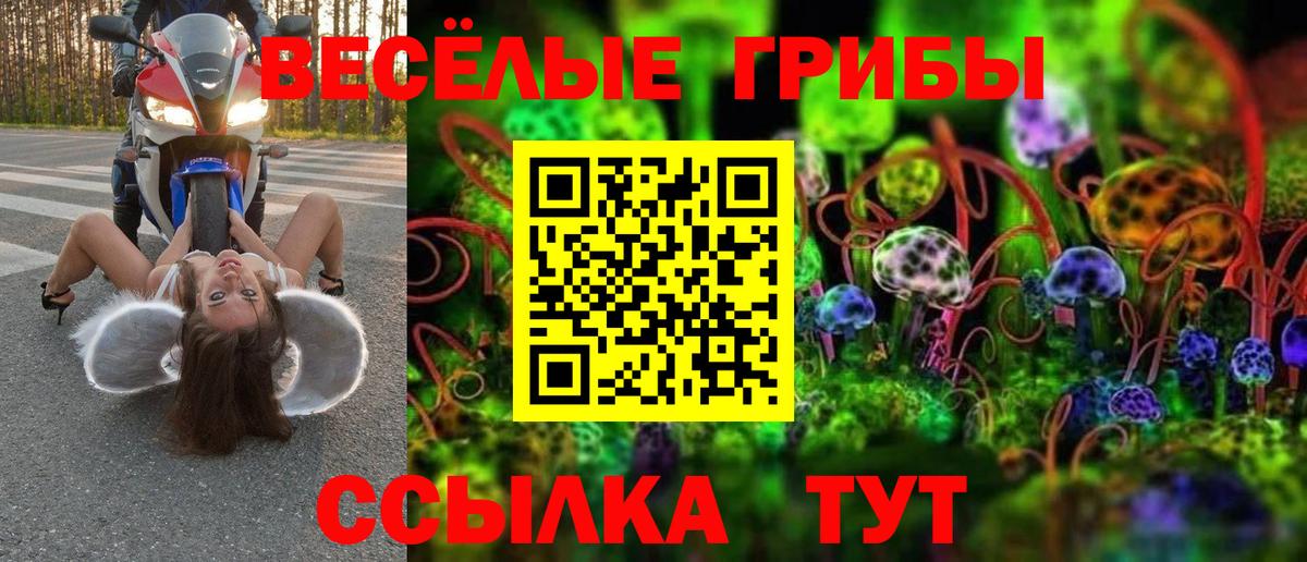 Галлюциногенные грибы Psilocybe  Галлюциногенные грибы мицелий  Вход с VPN  закладки  Каспийск 