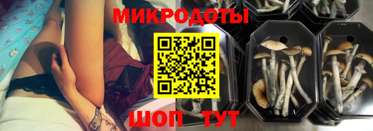 Галлюциногенные грибы MAGIC MUSHROOMS Каспийск